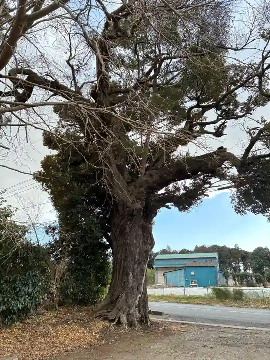 子安神社(千葉県)