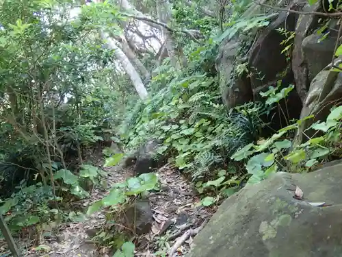 鵜戸神宮の自然