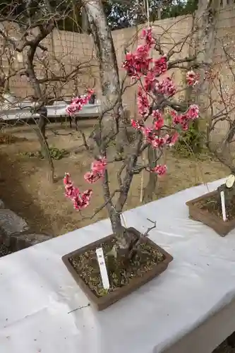 菅原天満宮（菅原神社）の芸術