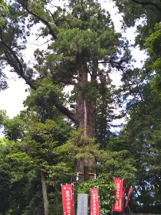 塩船観音寺(東京都)
