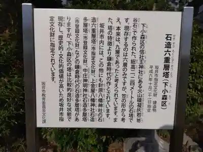 信社王神社(福井県)