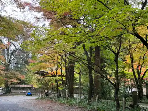 大矢田神社(岐阜県)