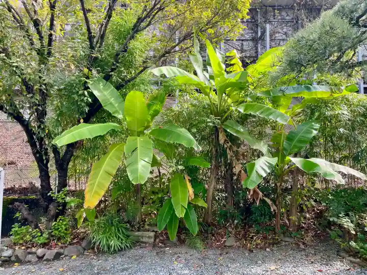 新光明寺(神奈川県)