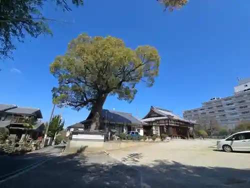 福徳寺(大阪府)