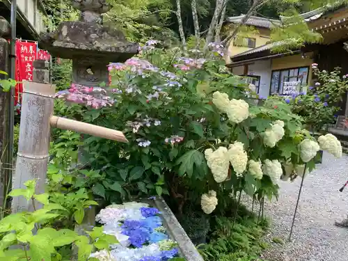 連祥院(栃木県)