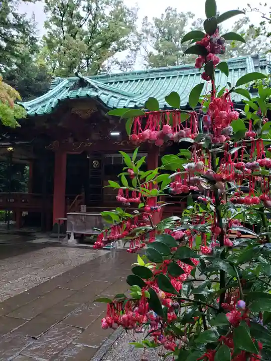 赤坂氷川神社の本殿・本堂