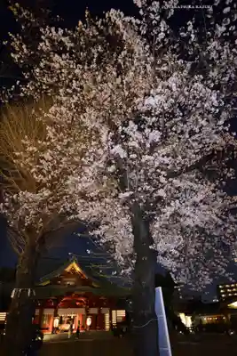 神田神社（神田明神）のその他建物