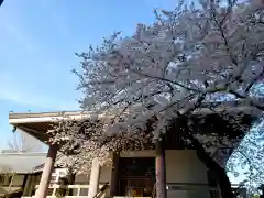 常圓寺の本殿