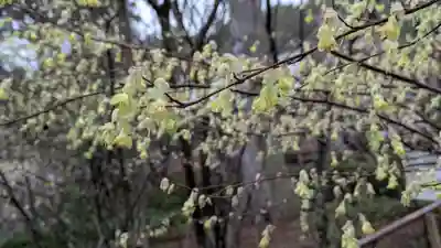 石山寺(滋賀県)