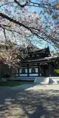 長谷寺の建物その他