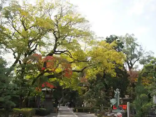 大井神社の自然