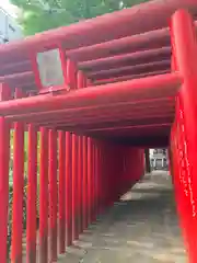 髙牟神社の鳥居