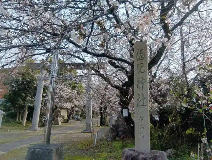 酒見神社の御朱印