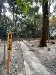 星田妙見宮の建物その他