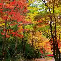 小國神社の自然