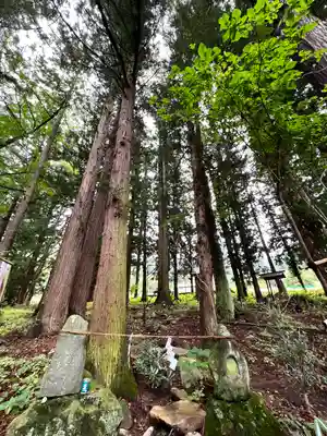 山家神社の末社・摂社