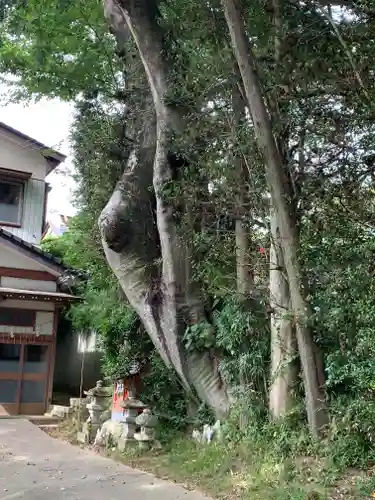 加波山普明神社(茨城県)