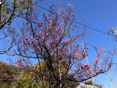 稲荷神社の{uncategorized: "未分類", other: "その他", undefined: "問題あり", building: "その他建物", grave: "お墓", sacred_gate: "鳥居", guardian: "狛犬", statue: "像", buddha: "仏像", history: "歴史", nature: "自然", garden: "庭園", animal: "動物", pagoda: "塔", temizu: "手水舎", mountain_gate: "山門・神門", sanctuary: "本殿・本堂", subordinate: "末社・摂社", art: "芸術", scenery: "景色", jizo: "地蔵", ema: "絵馬", goshuin: "御朱印", omikuji: "おみくじ", items: "授与品その他", amulet: "お守り", goshuincho: "御朱印帳", eats: "食事", festival: "お祭り", votive_dance: "神楽", shichigosan: "七五三参", wedding: "結婚式", experience: "体験その他", initially: "初詣", around: "周辺", anti_infection: "感染症対策"}