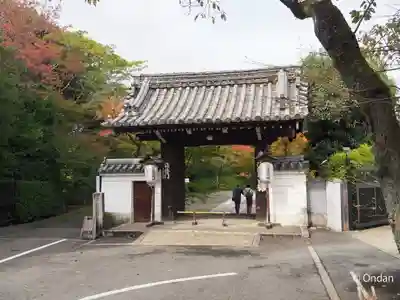 将軍塚青龍殿（青蓮院門跡）(京都府)