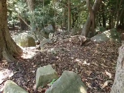 保久良神社の自然