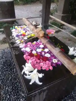 前玉神社(埼玉県)