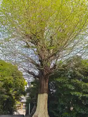 満勝寺(静岡県)