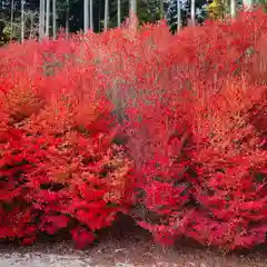 呑山観音寺(福岡県)