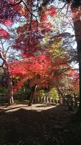 三寳寺の景色