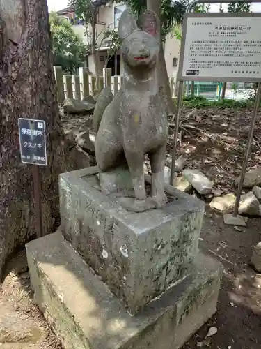 半田稲荷神社の狛犬