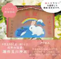 瀬田玉川神社(東京都)