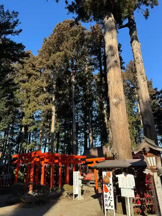 櫛引八幡宮(青森県)