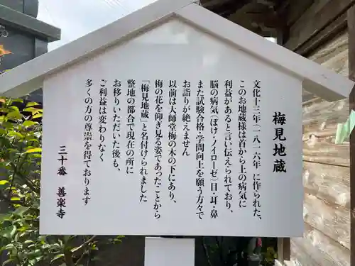 善楽寺(高知県)