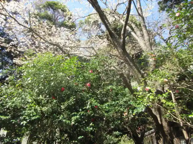 安國論寺(安国論寺)の自然