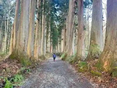 戸隠神社奥社(長野県)