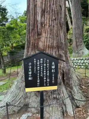 日枝神社(静岡県)