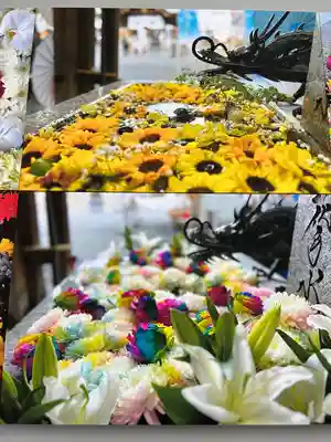 札幌諏訪神社の手水舎