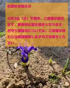 大鏑神社(福島県) 2022年04月03日(日)〜(2022年04月01日(金) 14時06分14秒投稿)