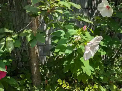 蔵前神社(東京都)