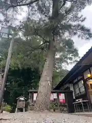 三輪神社(岐阜県)