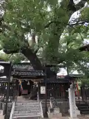 三島神社(大阪府)