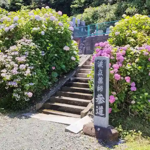 波立寺（波立薬師）の自然