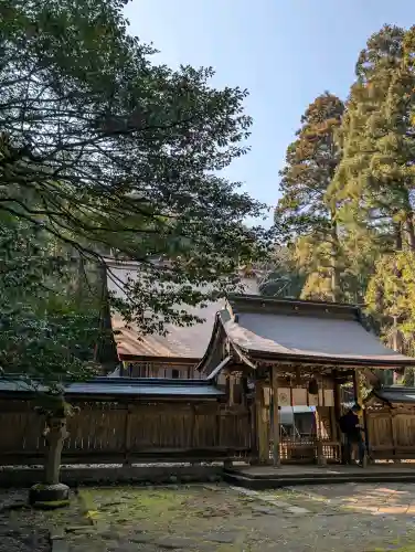 若狭彦神社（上社）の{uncategorized: "未分類", other: "その他", undefined: "問題あり", building: "その他建物", grave: "お墓", sacred_gate: "鳥居", guardian: "狛犬", statue: "像", buddha: "仏像", history: "歴史", nature: "自然", garden: "庭園", animal: "動物", pagoda: "塔", temizu: "手水舎", mountain_gate: "山門・神門", sanctuary: "本殿・本堂", subordinate: "末社・摂社", art: "芸術", scenery: "景色", jizo: "地蔵", ema: "絵馬", goshuin: "御朱印", omikuji: "おみくじ", items: "授与品その他", amulet: "お守り", goshuincho: "御朱印帳", eats: "食事", festival: "お祭り", votive_dance: "神楽", shichigosan: "七五三参", wedding: "結婚式", experience: "体験その他", initially: "初詣", around: "周辺", anti_infection: "感染症対策"}