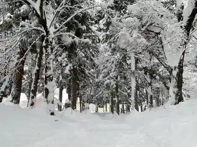 飯笠山神社(長野県)