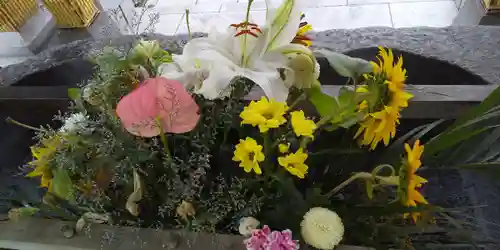 彌彦神社　(伊夜日子神社)の手水舎