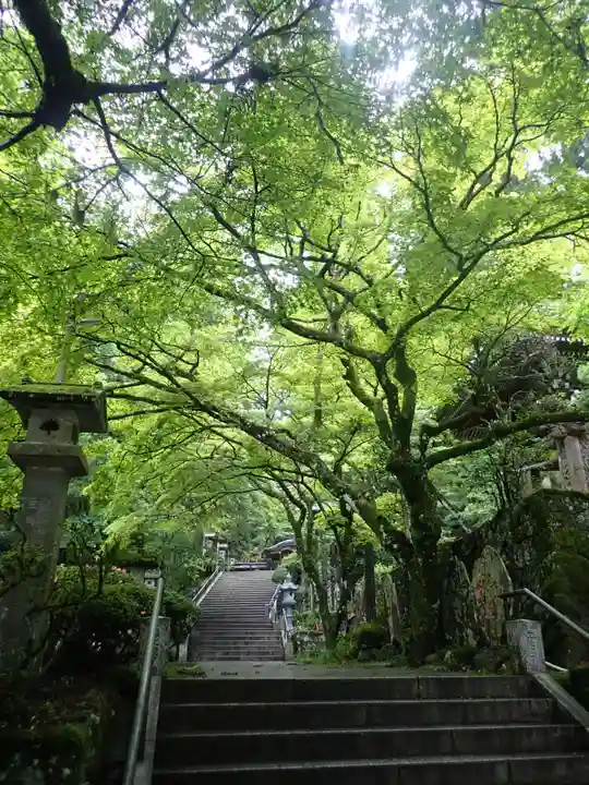 最乗寺(道了尊)(神奈川県)