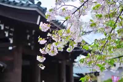 三嶋大社(静岡県)