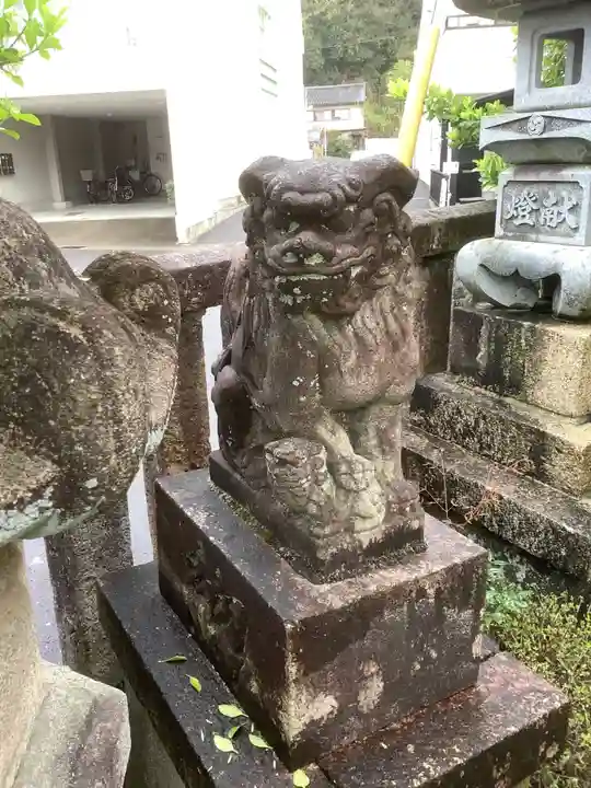 多賀神社(多賀町)の狛犬