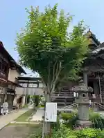 秩父札所十三番 慈眼寺(埼玉県)