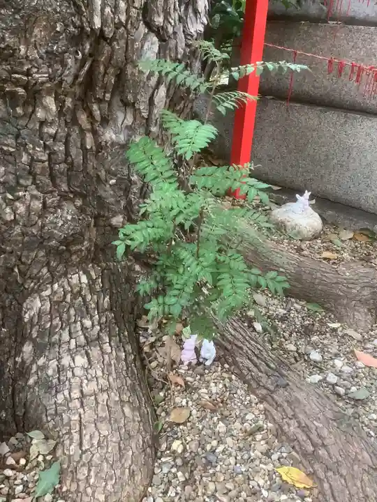 三輪神社(愛知県)