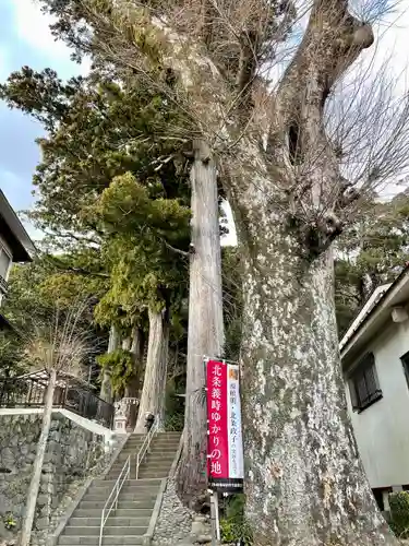 日枝神社の建物その他